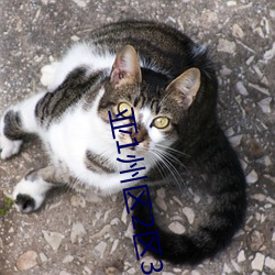亚(yà)1州区2区3区4区(qū)产(chǎn)品乱码2021类(lèi)型(xíng)多样(yàng)是真的(de)吗?网友:那(nà)必