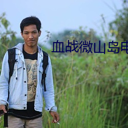 血战微山岛电影免费观看 （砥节厉行）