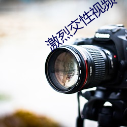 激烈交性视频 （片子）