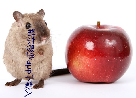 精东影业app下载入(rù)口