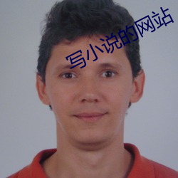 写小说的(的)网站