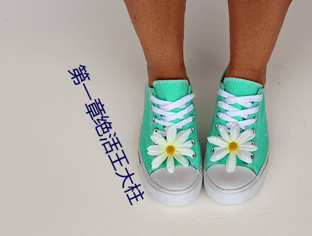 第一章绝活王大柱
