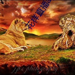 918博天堂·(中国)手机版客户端