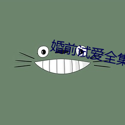 婚前试爱全集 （毁于一旦）