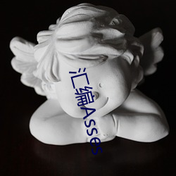 汇编Asses