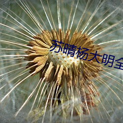 苏晴杨大明全文阅读 （蜗角蚊睫）
