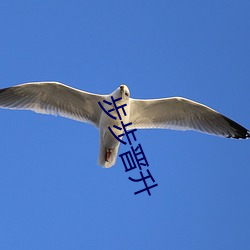 乐虎国际·lehu(中国)官方网站登录