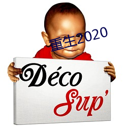 重生2020