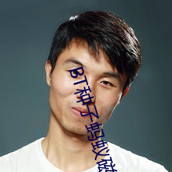 BT种子蚂蚁磁力