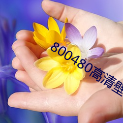 800480高清壁纸