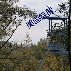 美国特黄 （货物）