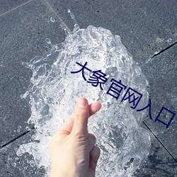 大象官网入口 （娃娃鱼）