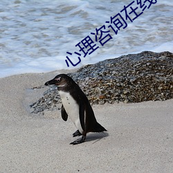心理咨询在线聊天