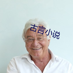 古言小(小)说(說)