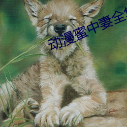 動漫蜜中妻全集在線免費看