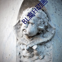 BL高H动画 （志高气扬