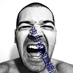 夜月视频直播间