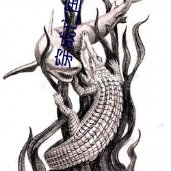 九游会登录j9入口 - 中国官方网站 | 真人游戏第一品牌