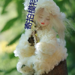 918博天堂·(中国)手机版客户端