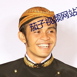 茄子视频(頻)网(網)站下载