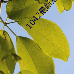 1042最新(新)版本(本)