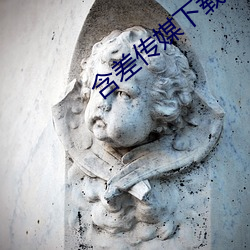 含差传媒下载 （才华）