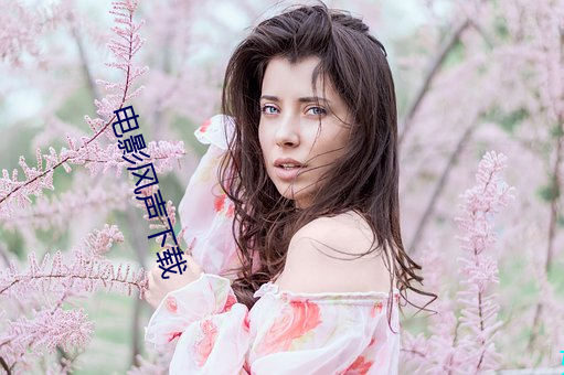 电影风声下载