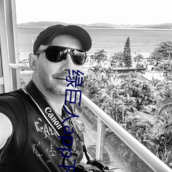 绿巨人app下载ap （点金作铁）