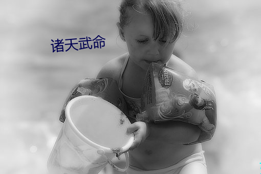 诸天武命 （简板