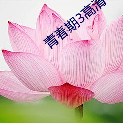 青春期3高清