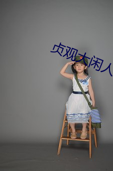 贞观大(dà)闲人(rén)