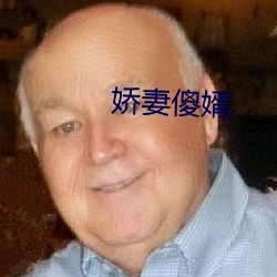 嬌妻傻婿
