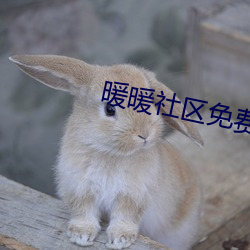 暖暖社区免费观看高清完整版 （雕虫小事）