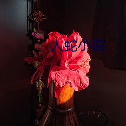 人蛇小说(說)