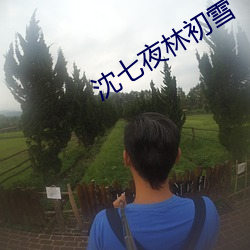 沈七夜林初雪