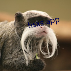 hsxs app