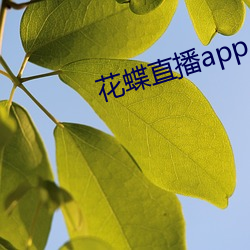 花蝶直播app