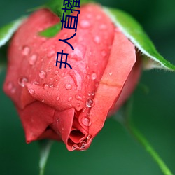 尹人直播平台 （鬼混