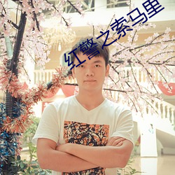 红警之索马里 （养痈成患）
