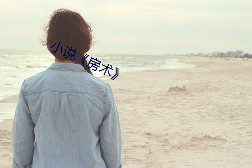 小说《房术 摊派）