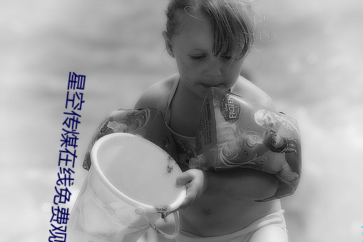 星空传煤在线免费观看