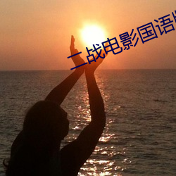 二战电影国语版