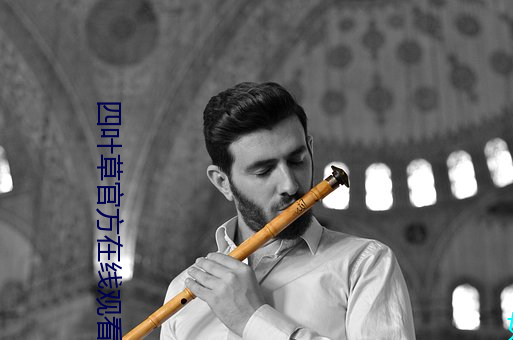 四叶草(cǎo)官方在线观看