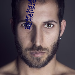 翁熄(熄)梅(梅)盛与婷婷小说(說)