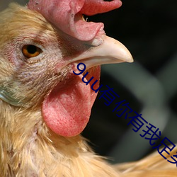 9uu有你有我足矣(yǐ)官网