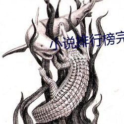 小说排行榜完结版