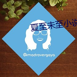 夏至未至小說