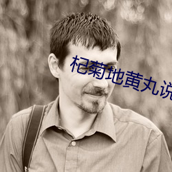 杞菊地黄丸说(說)明书