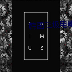 韓國三圾電影