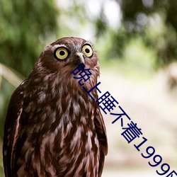 晚上睡不着1999网站 （变换）